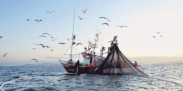 El Miteco destina 14,5 millones de euros para impulsar la innovación y sostenibilidad en pesca y acuicultura