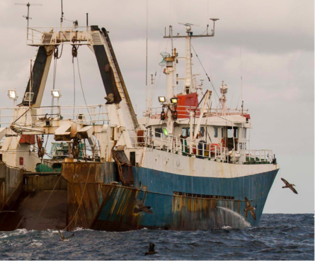 Informe de EU IUU Fishing Coalition insta a la UE a reforzar la transparencia en la pesca INDNR