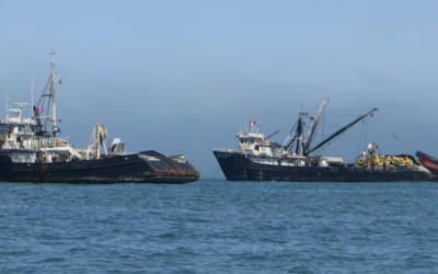 Estudio europeo vincula banderas de conveniencia con debilidades en el control de la pesca ilegal