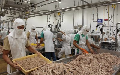 Continúan las críticas al sistema CATCH porque “asfixia las importaciones y exportaciones”