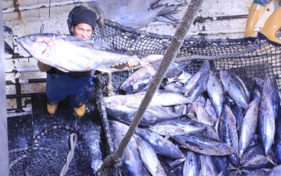 NOAA lanza un plan estratégico para luchar contra la pesca ilegal