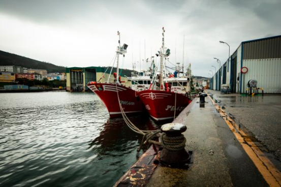 La costera del bonito en el puerto de Burela: menos capturas, más ingresos y precios al alza