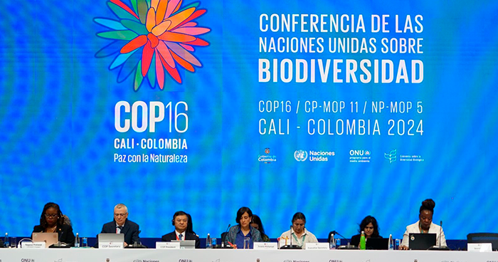 ICFA pide considerar la importancia de la pesca en esfuerzos globales de biodiversidad durante la COP16