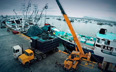 Puerto de Manta se consolida como refugio de estabilidad en mercado mundial del atún ante crisis de suministro asiática