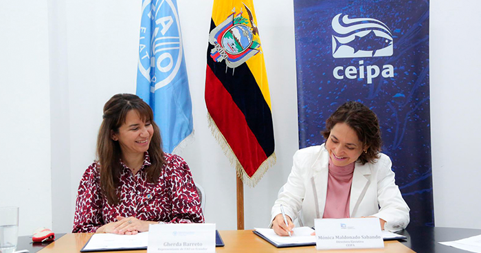 FAO y CEIPA firman alianza estratégica para impulsar la sostenibilidad del sector atunero