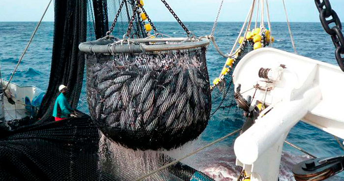 Flota atunera europea pierde terreno ante la competencia en el Atlántico