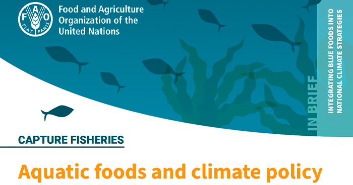 La FAO insta a incluir los alimentos acuáticos en las estrategias climáticas nacionales