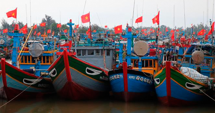 Vietnam implementará nuevo marco regulatorio para la pesca sostenible