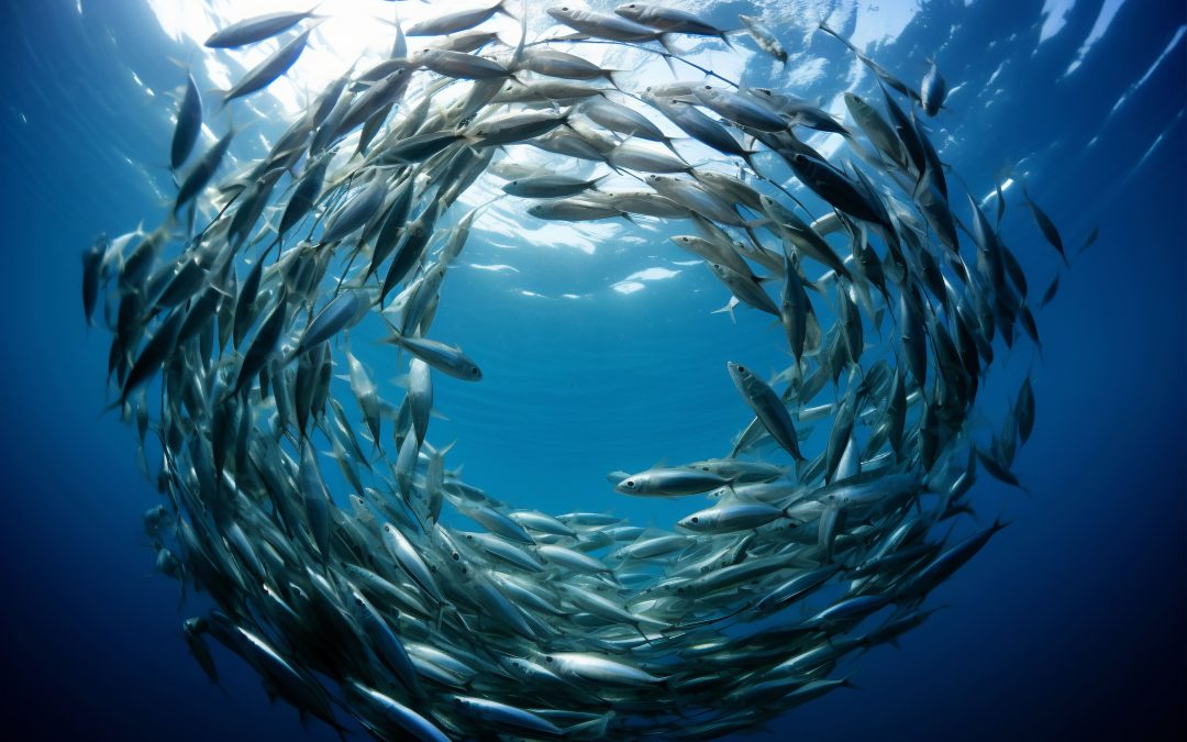 FAO e instituto italiano impulsan gestión pesquera con inteligencia artificial