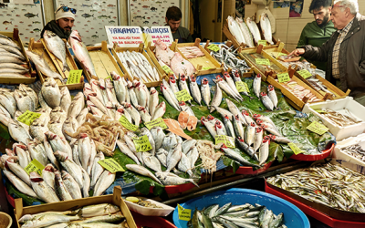 Informe FAO: uno de cada cinco productos pesqueros podría estar adulterado o mal etiquetado